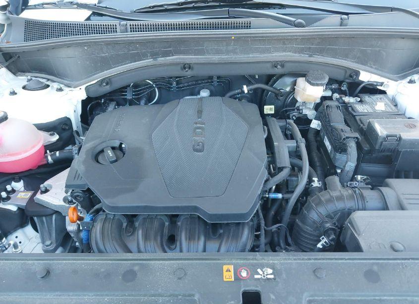 Photo 10 of 2023 Hyundai Santa FE SEL (VIN 5NMS3DAJ6PH634289)