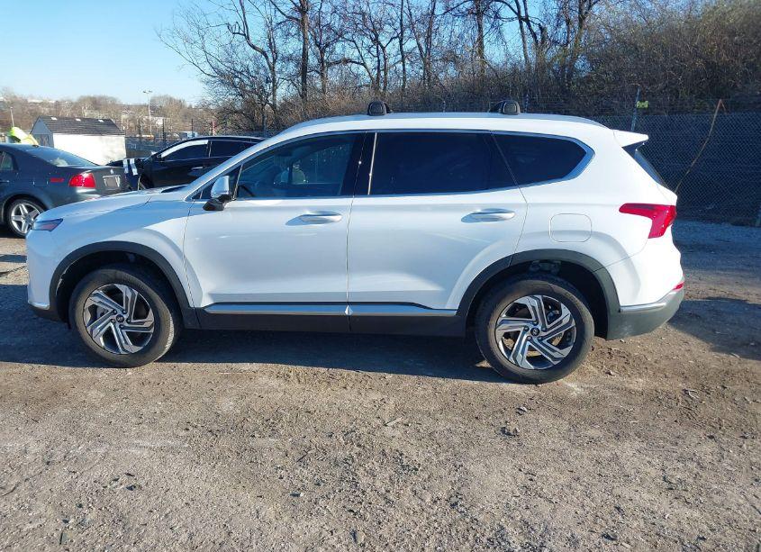 Photo 15 of 2023 Hyundai Santa FE SEL (VIN 5NMS3DAJ6PH634289)