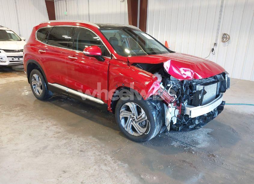 2023 Hyundai Santa FE SEL (VIN 5NMS3DAJ8PH568280) main photo