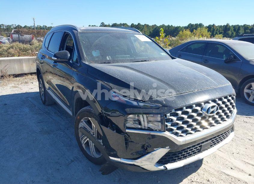 2023 Hyundai Santa FE SEL (VIN 5NMS3DAJ8PH569221) main photo