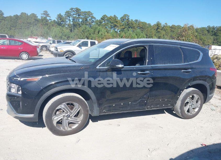 Photo 14 of 2023 Hyundai Santa FE SEL (VIN 5NMS3DAJ8PH569221)