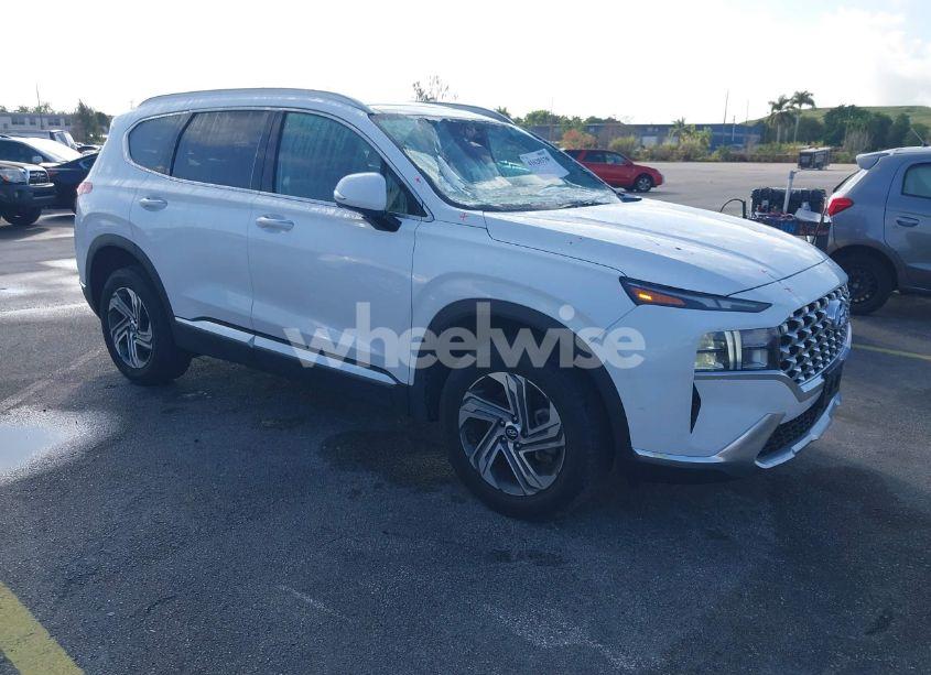 2023 Hyundai Santa FE SEL (VIN 5NMS3DAJ9PH637557) main photo
