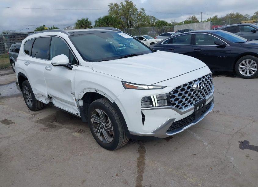 2023 Hyundai Santa FE SEL (VIN 5NMS3DAJXPH531442) main photo