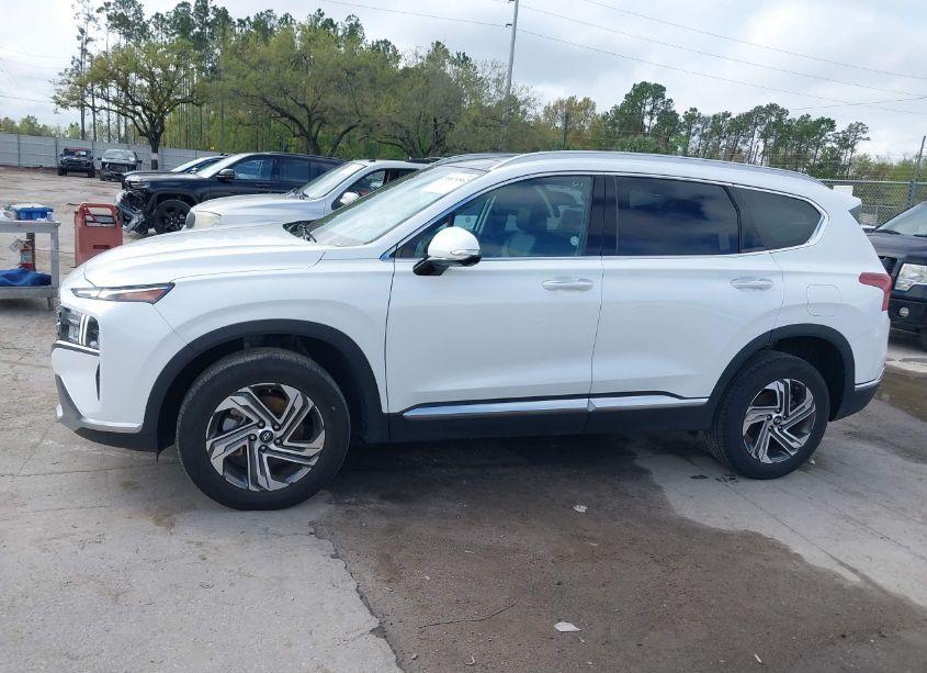 Photo 14 of 2023 Hyundai Santa FE SEL (VIN 5NMS3DAJXPH531442)