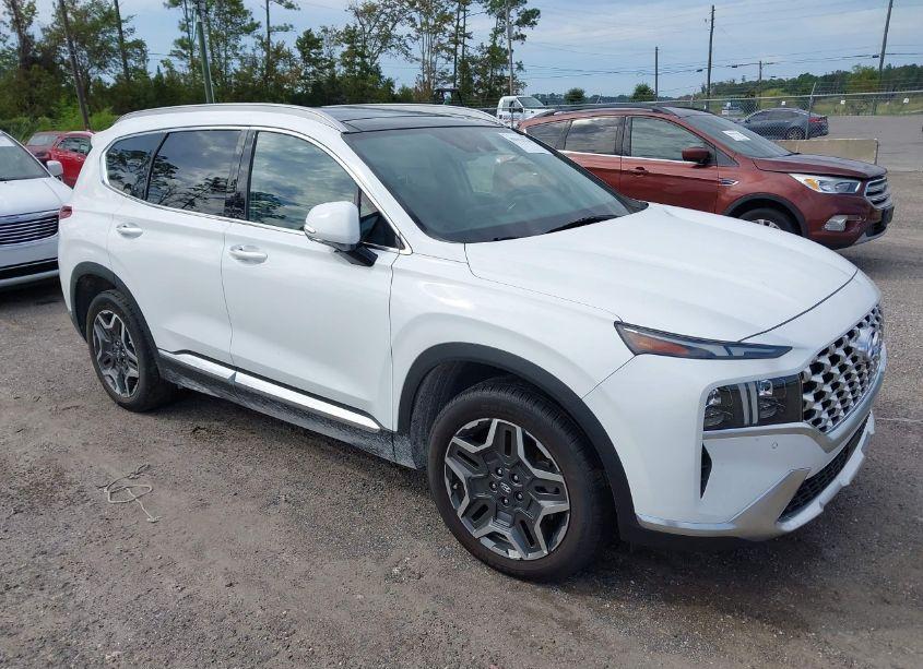 2023 Hyundai Santa FE LIMITED (VIN 5NMS44ALXPH547428) main photo