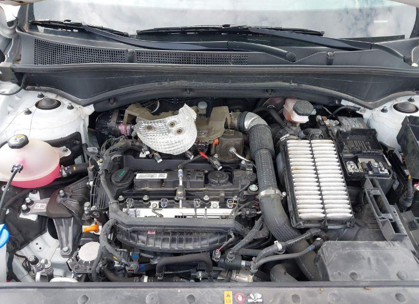 Photo 10 of 2023 Hyundai Santa FE LIMITED (VIN 5NMS44ALXPH547428)