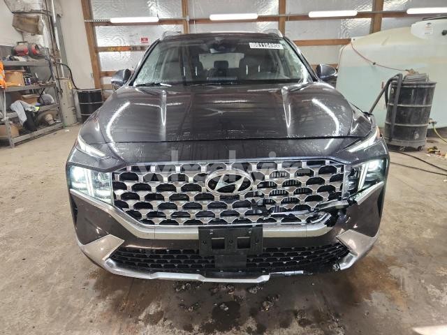 Photo 4 of 2023 HYUNDAI SANTA FE LIMITED (VIN 5NMS4DAL0PH609208)