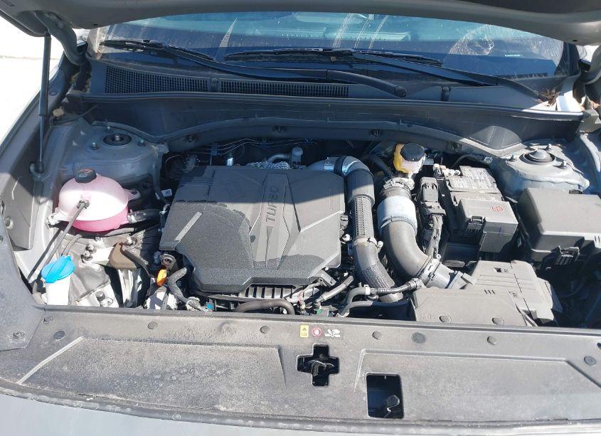 Photo 10 of 2023 Hyundai Santa FE LIMITED (VIN 5NMS4DAL1PH531487)