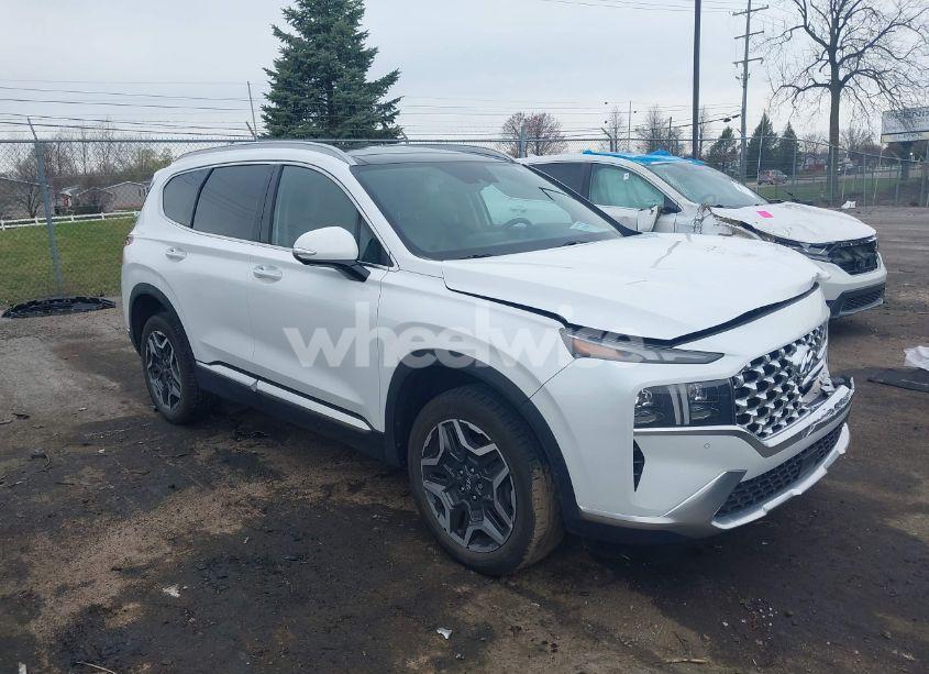 2022 Hyundai Santa FE LIMITED (VIN 5NMS4DAL2NH412165) main photo