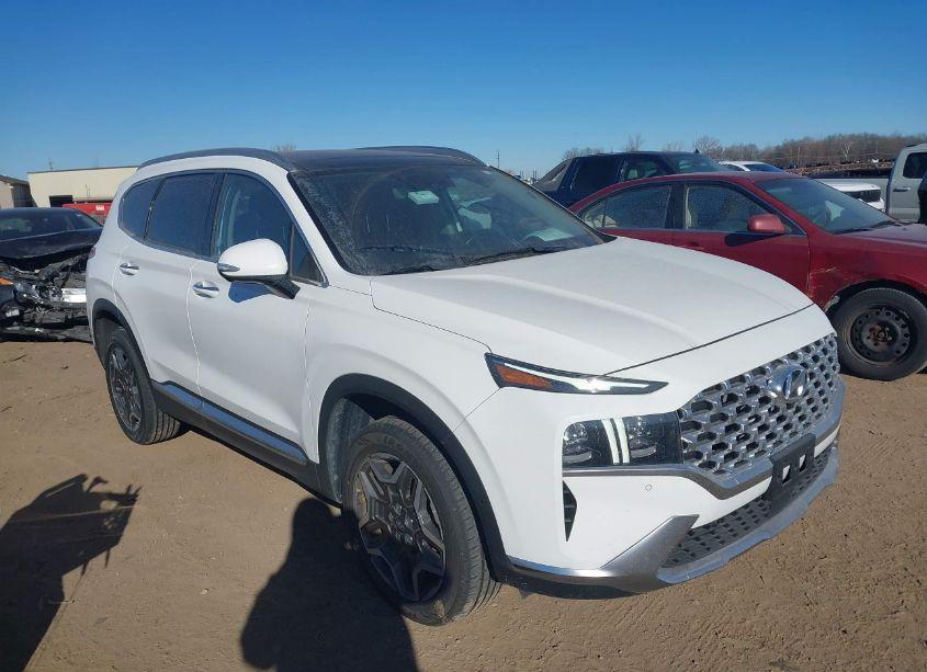 2023 Hyundai Santa FE LIMITED (VIN 5NMS4DAL3PH531748) main photo