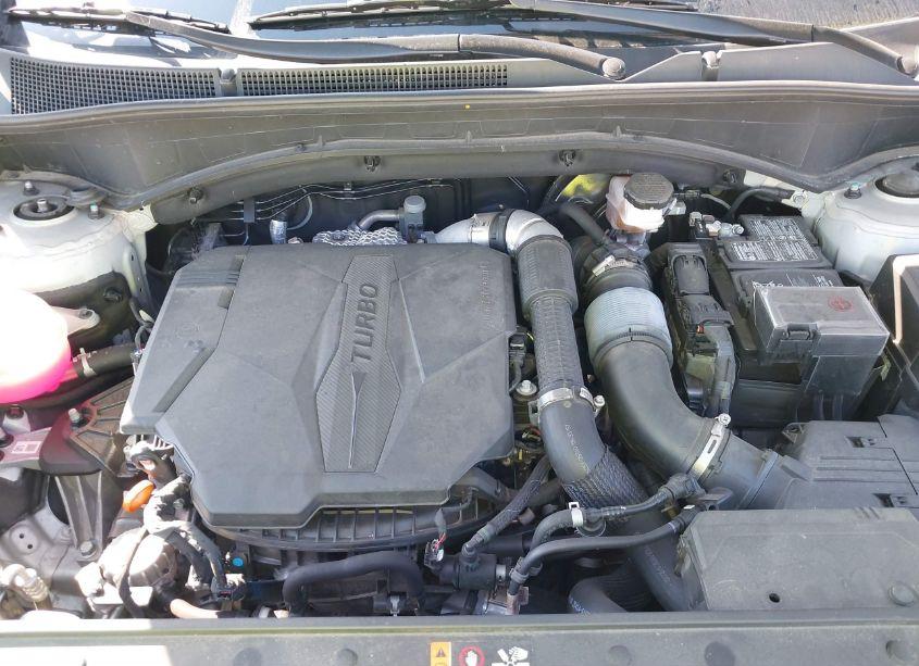 Photo 10 of 2023 Hyundai Santa FE LIMITED (VIN 5NMS4DAL6PH531467)