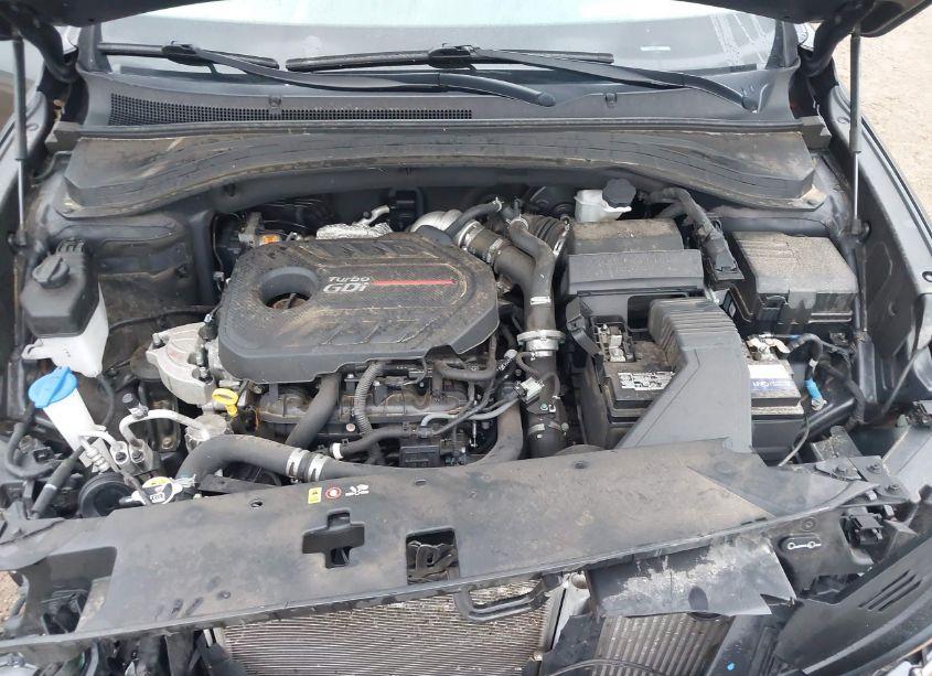 Photo 10 of 2020 Hyundai Santa FE LIMITED (VIN 5NMS53AA7LH282760)