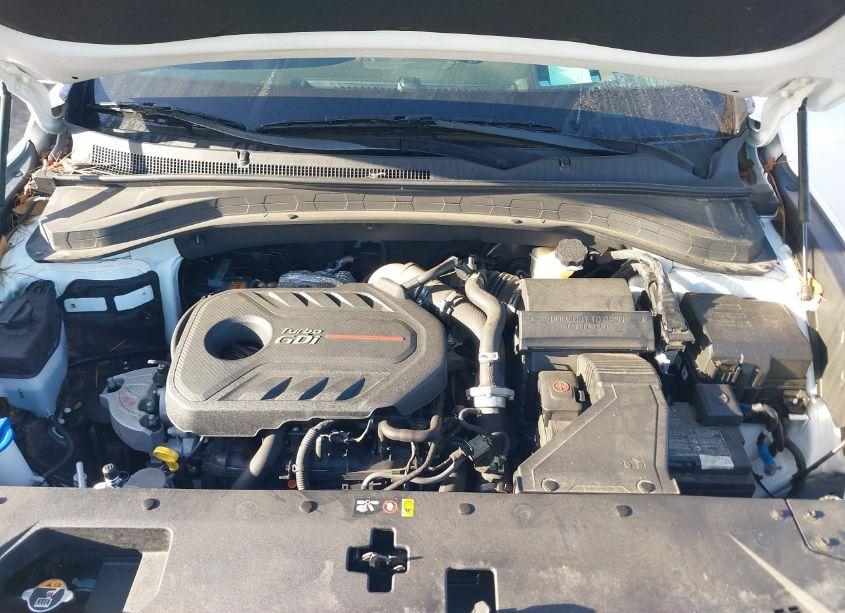 Photo 10 of 2020 Hyundai Santa FE LIMITED 2.0T (VIN 5NMS53AAXLH284924)