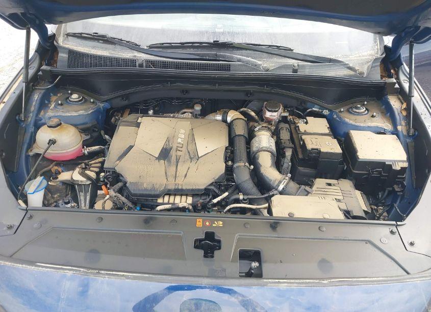 Photo 10 of 2023 Hyundai Santa FE CALLIGRAPHY (VIN 5NMS54AL2PH507812)