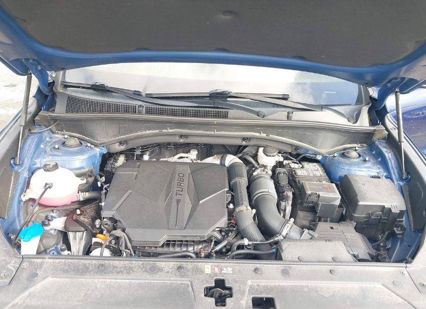 Photo 10 of 2023 Hyundai Santa FE CALLIGRAPHY (VIN 5NMS54AL6PH512429)