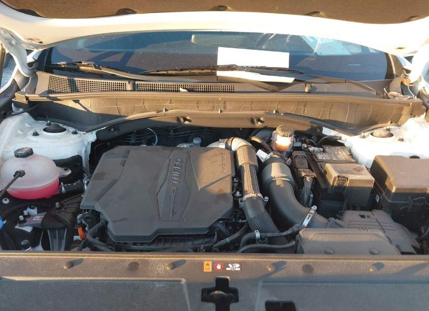 Photo 10 of 2023 Hyundai Santa FE CALLIGRAPHY (VIN 5NMS54AL7PH642266)