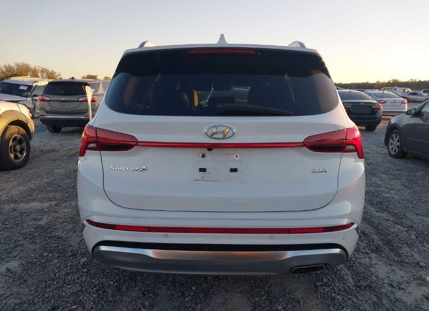 Photo 16 of 2023 Hyundai Santa FE CALLIGRAPHY (VIN 5NMS54AL7PH642266)