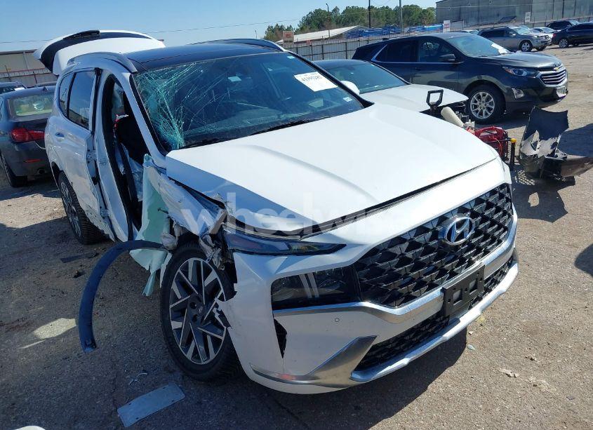 2021 Hyundai Santa FE CALLIGRAPHY (VIN 5NMS5DAL1MH360376) main photo
