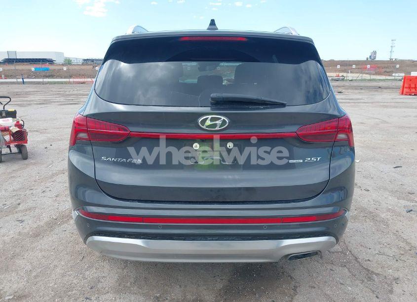 Photo 17 of 2023 Hyundai Santa FE CALLIGRAPHY (VIN 5NMS5DAL1PH492249)