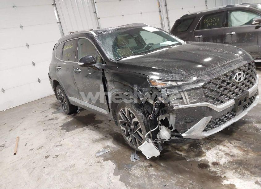 2023 Hyundai Santa FE CALLIGRAPHY (VIN 5NMS5DAL4PH521601) main photo