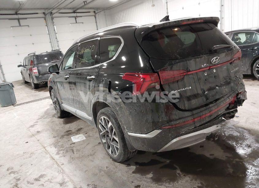 Photo 3 of 2023 Hyundai Santa FE CALLIGRAPHY (VIN 5NMS5DAL4PH521601)