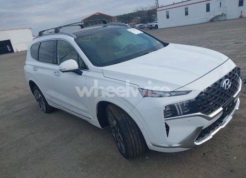 2023 Hyundai Santa FE CALLIGRAPHY (VIN 5NMS5DALXPH634937) main photo