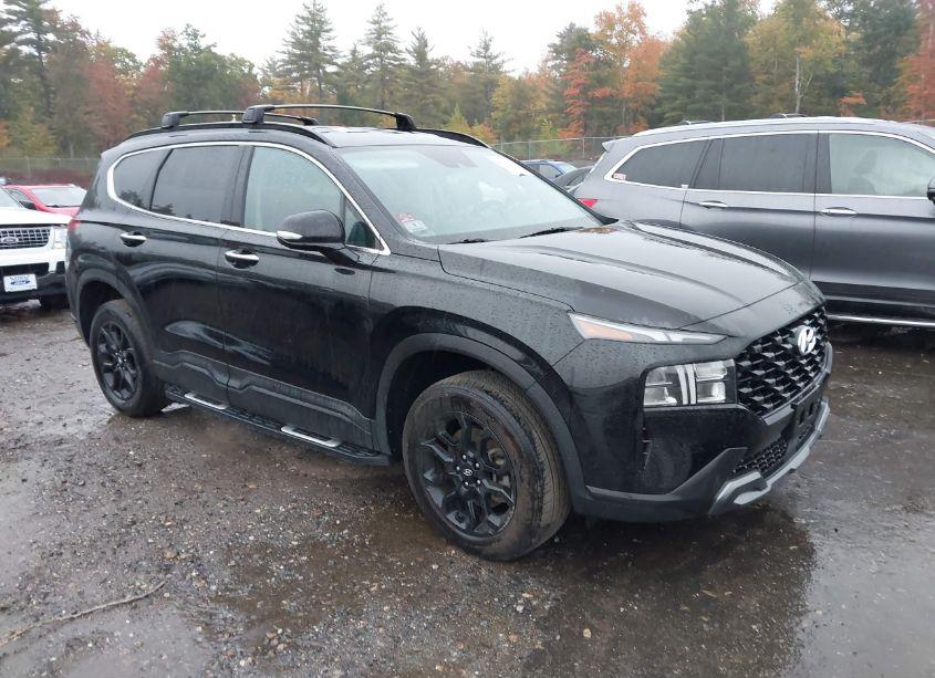 2023 Hyundai Santa FE XRT (VIN 5NMS6DAJ4PH616249) main photo