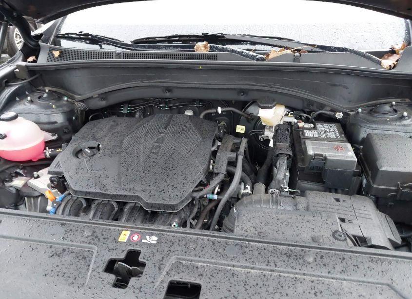 Photo 10 of 2023 Hyundai Santa FE XRT (VIN 5NMS6DAJ4PH616249)