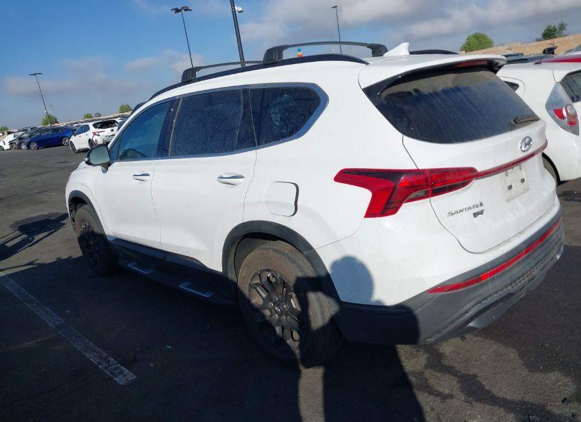 Photo 14 of 2023 Hyundai Santa FE XRT (VIN 5NMS6DAJ9PH504675)