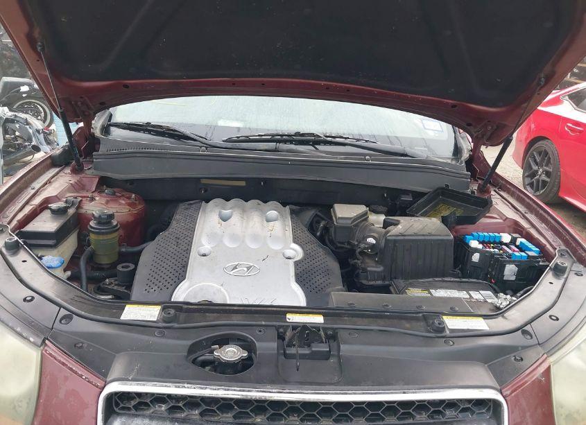 Photo 10 of 2007 Hyundai Santa FE GLS (VIN 5NMSG13D07H060069)