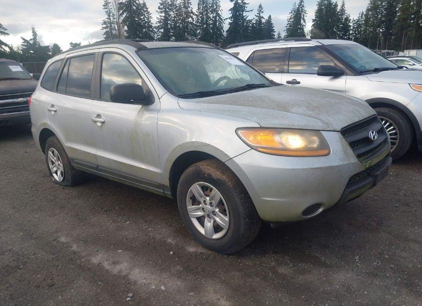 2009 Hyundai Santa FE GLS (VIN 5NMSG13D09H273333) main photo