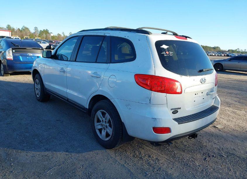 Photo 3 of 2009 Hyundai Santa FE GLS (VIN 5NMSG13D09H303057)