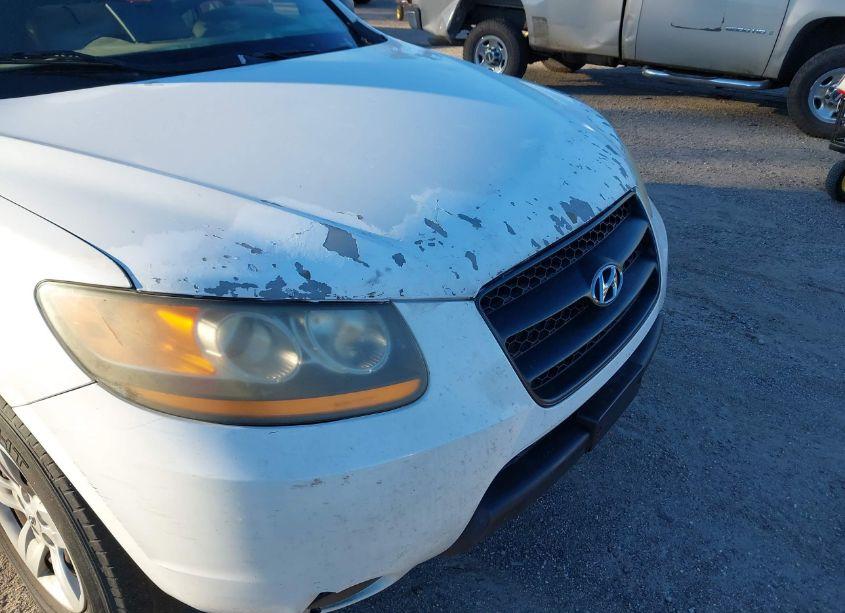 Photo 6 of 2009 Hyundai Santa FE GLS (VIN 5NMSG13D09H303057)