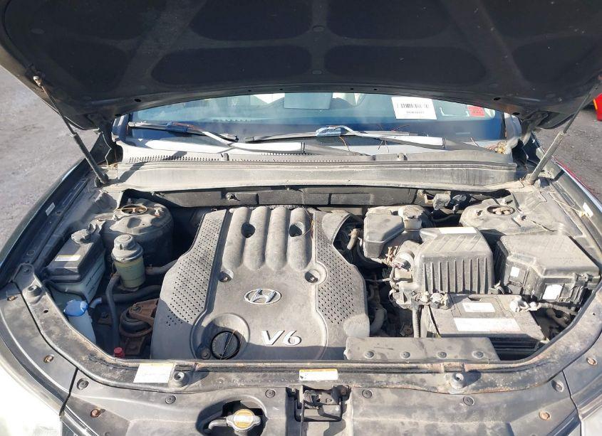 Photo 10 of 2008 Hyundai Santa FE GLS (VIN 5NMSG13D38H149359)