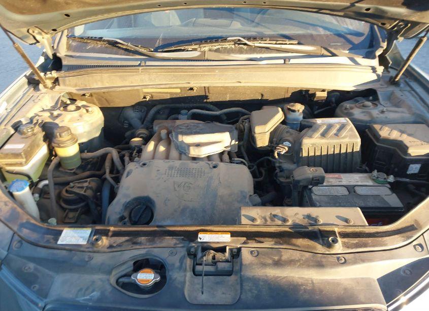 Photo 10 of 2009 Hyundai Santa FE GLS (VIN 5NMSG13D49H247995)