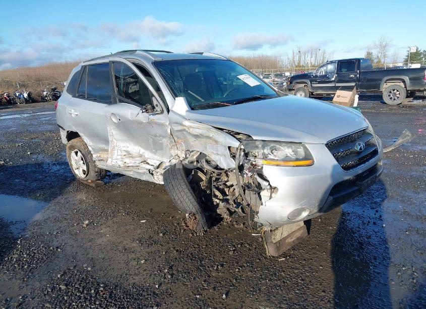 2007 Hyundai Santa FE GLS (VIN 5NMSG13D67H006520) main photo