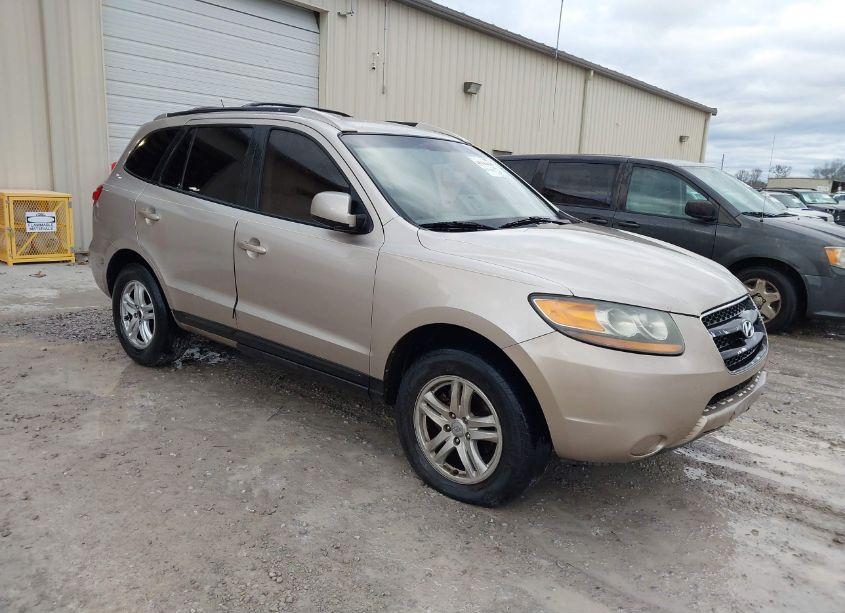 2007 Hyundai Santa FE GLS (VIN 5NMSG13D67H087860) main photo