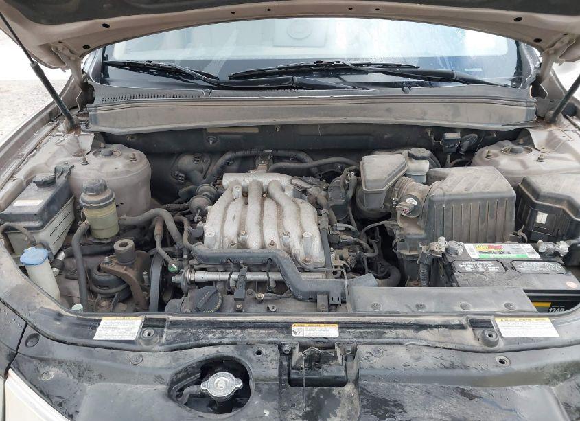 Photo 10 of 2007 Hyundai Santa FE GLS (VIN 5NMSG13D67H087860)