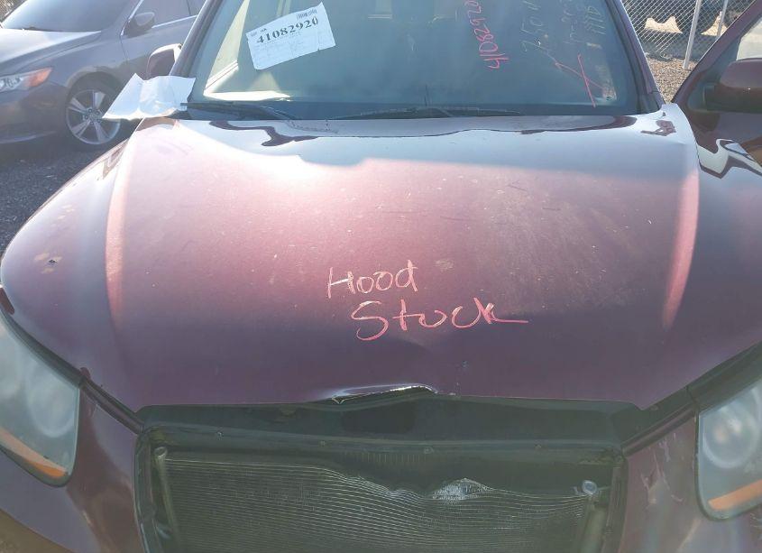 Photo 10 of 2008 Hyundai Santa FE GLS (VIN 5NMSG13D68H152949)