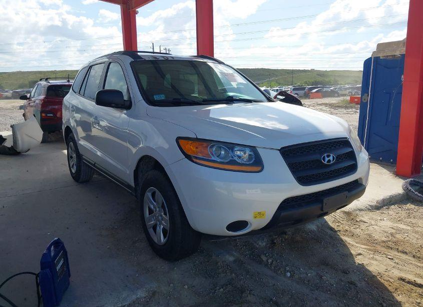 2009 Hyundai Santa FE GLS (VIN 5NMSG13D69H317979) main photo
