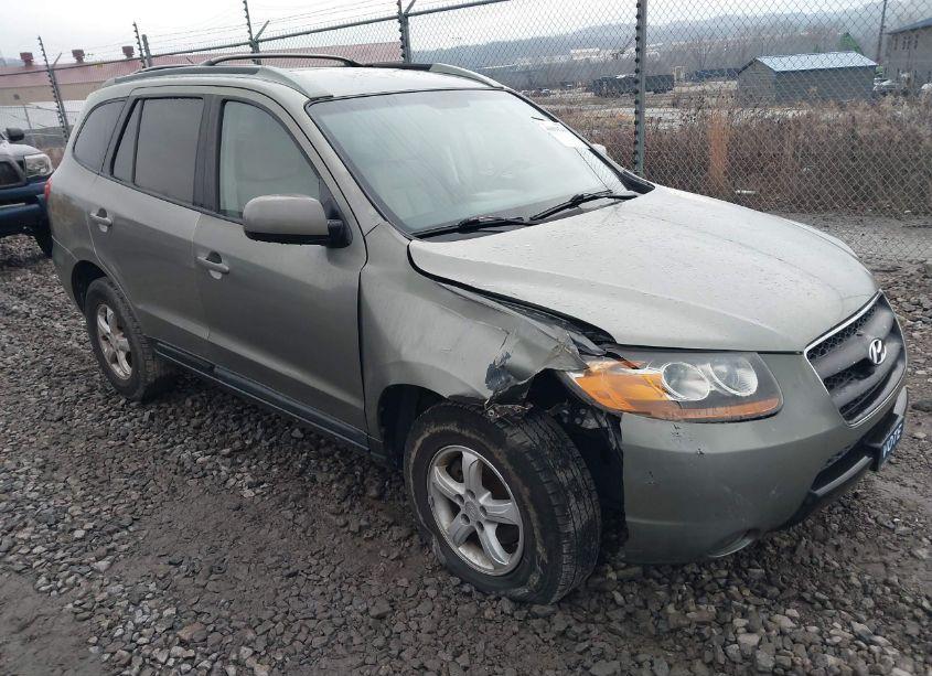2007 Hyundai Santa FE GLS (VIN 5NMSG13D77H118212) main photo