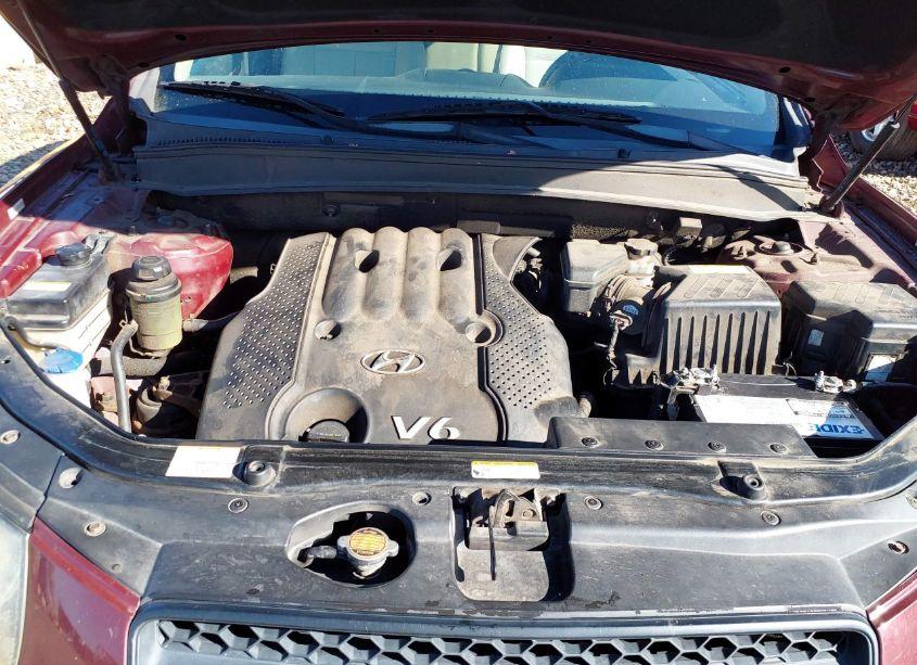 Photo 10 of 2008 Hyundai Santa FE GLS (VIN 5NMSG13D88H156629)