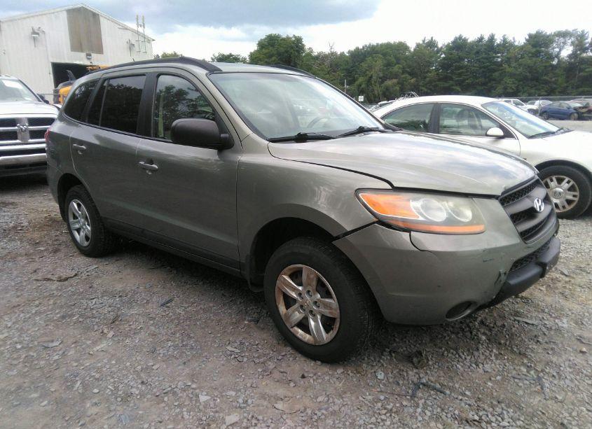 2009 Hyundai Santa FE GLS (VIN 5NMSG13D89H232092) main photo