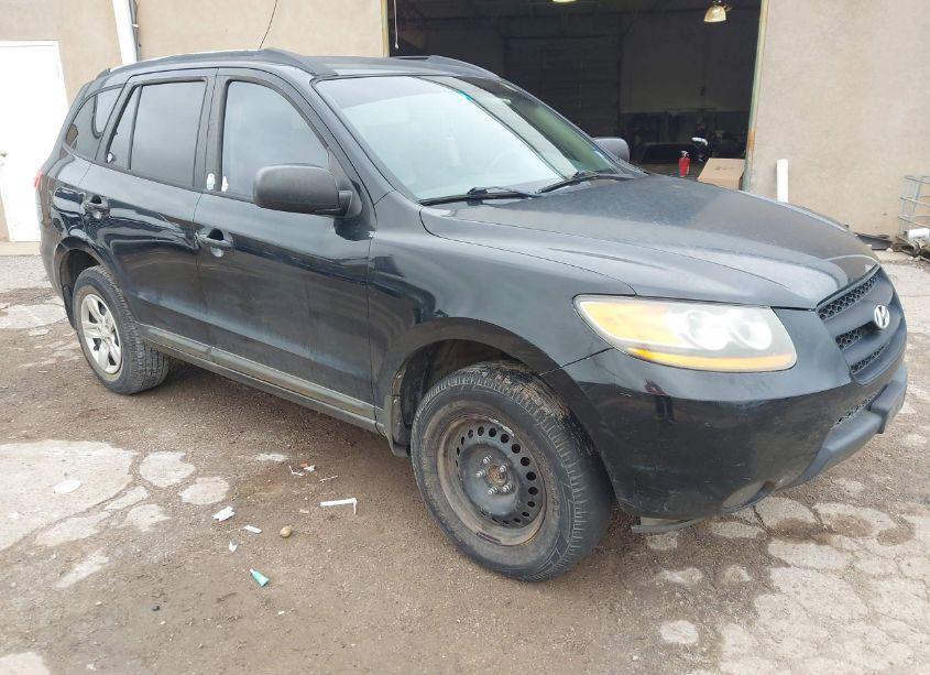 2009 Hyundai Santa FE GLS (VIN 5NMSG13D89H251127) main photo