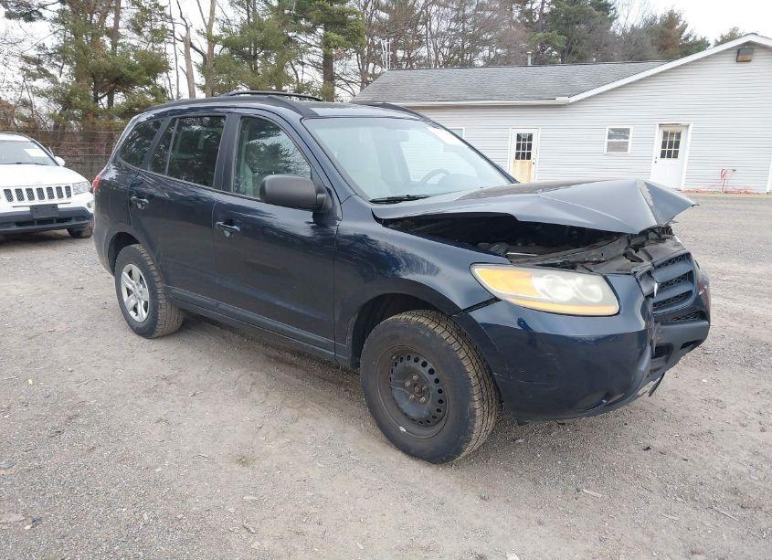 2009 Hyundai Santa FE GLS (VIN 5NMSG13D89H287089) main photo
