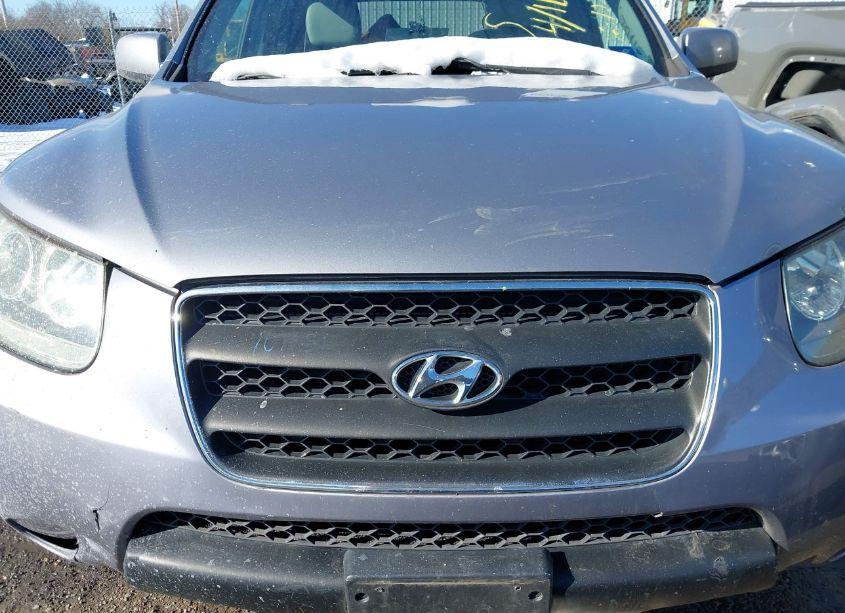 Photo 10 of 2007 Hyundai Santa FE GLS (VIN 5NMSG13DX7H057101)