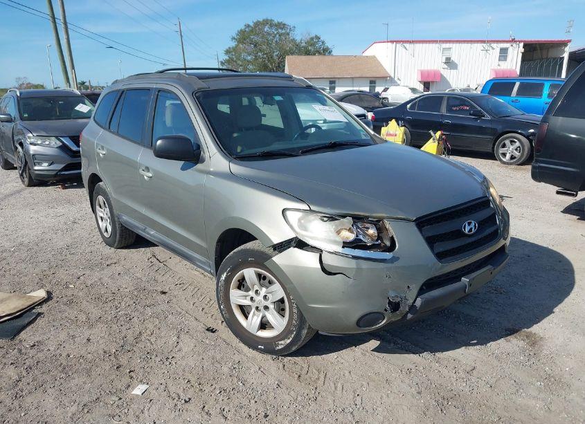 2009 Hyundai Santa FE GLS (VIN 5NMSG13DX9H313224) main photo