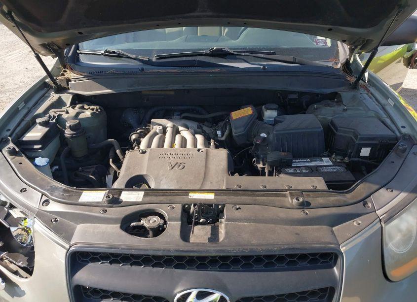 Photo 10 of 2009 Hyundai Santa FE GLS (VIN 5NMSG13DX9H313224)