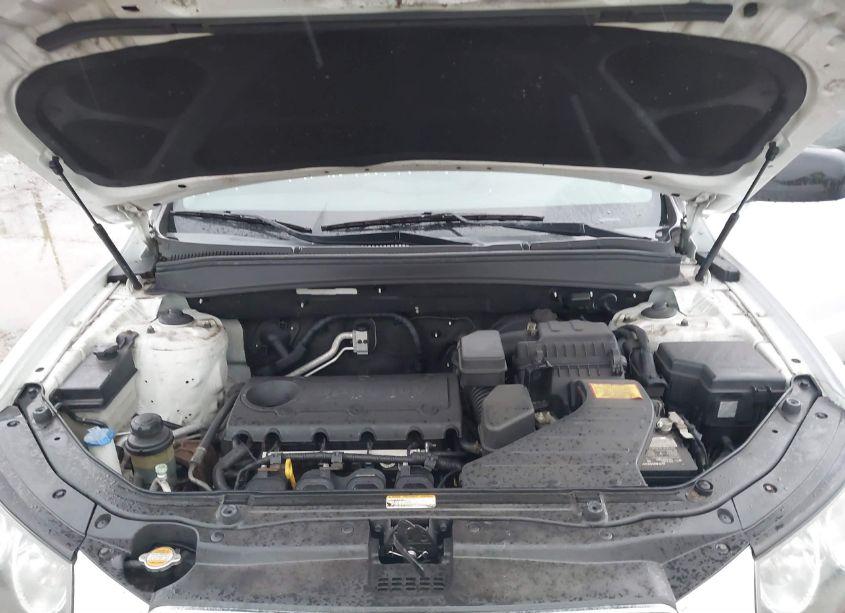 Photo 10 of 2010 Hyundai Santa FE GLS (VIN 5NMSG3AB1AH385575)