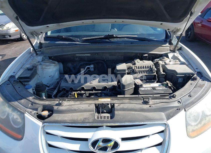 Photo 10 of 2010 Hyundai Santa FE GLS (VIN 5NMSG3AB8AH400315)